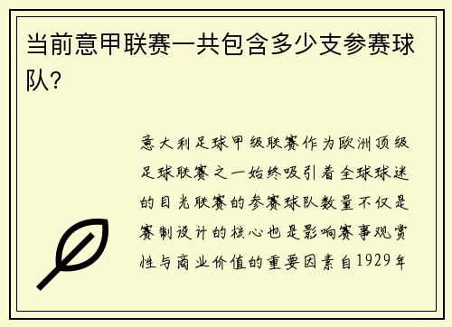 当前意甲联赛一共包含多少支参赛球队？