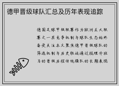 德甲晋级球队汇总及历年表现追踪
