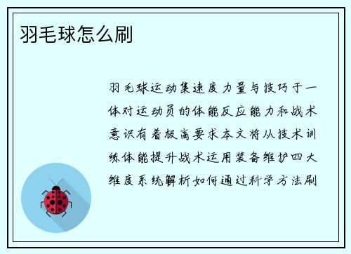 羽毛球怎么刷